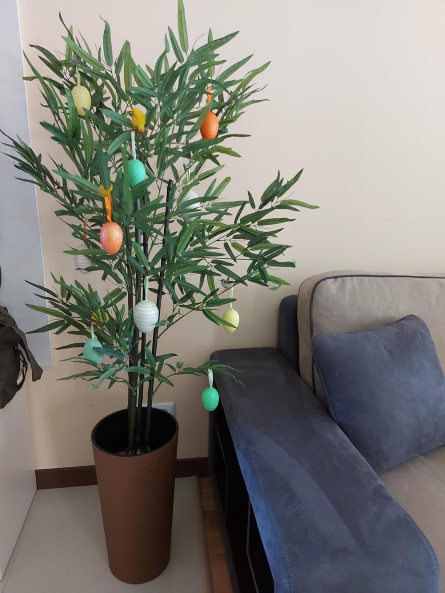 Terra Complex -D6 - Balkan Private Apartment-Spa Sking Golf And Relax 반스코 외부 사진